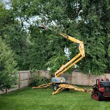 Best Commercial Tree Services  in Holmes Beach, FL